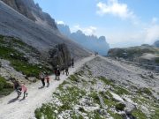 trekking alle tre cime (36/88)